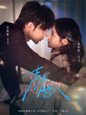 声声陷入（73集）甜宠短剧追到爽