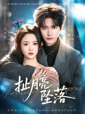 扯月亮坠落（81集）短剧热门分享