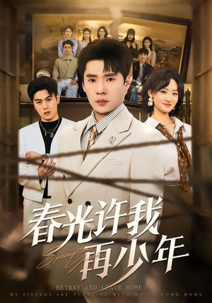 春光许我再少年（79集）热门火爆短剧