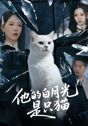 他的白月光是只猫（69集）看过的人都说好