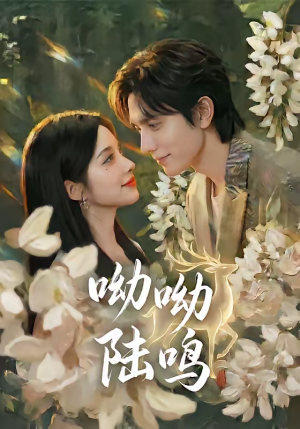 呦呦陆鸣（67集）演的怎么样