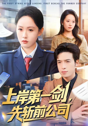 上岸第一剑，先斩前公司（75集）百度网盘资源