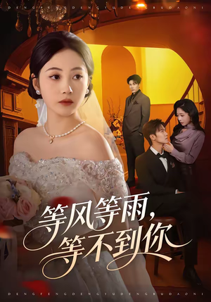 等风等雨，等不到你（65集）精彩短剧免费看