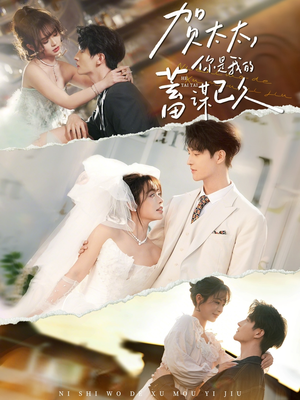 贺太太，你是我的蓄谋已久（100集）热门短剧看不停