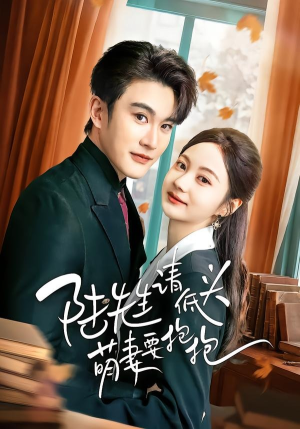 陆先生请低头萌妻要抱抱（51集）精彩短剧片段