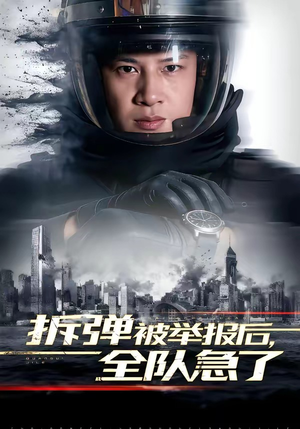 拆弹被举报后，全队急了（50集）在哪看免费