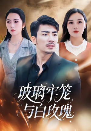 玻璃牢笼与白玫瑰（75集）高清画质免费看