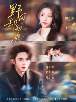 野风却知泱（80集）火爆短剧推荐