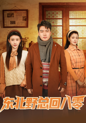 东北野总回八零（65集）经典老剧免费看