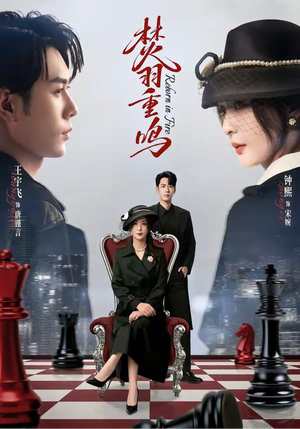 焚羽重鸣(60集) 焚羽重鸣(60集)在哪个平台看