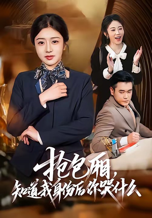 抢包厢,知道我身份后你哭什么(70集) 抢包厢,知道我身份后你哭什么(70集)热门短剧抢先