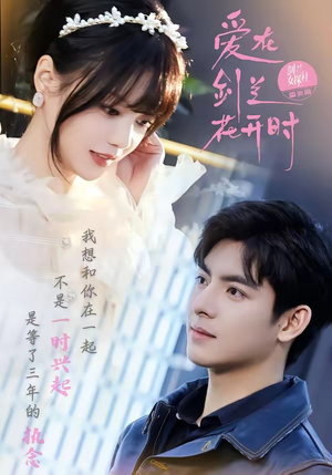 爱在剑兰花开时（56集）高分佳作免费看