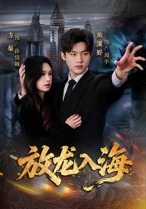 放龙入海（62集）海量资源免费看