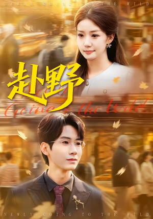 赴野（40集）番茄短剧免费看