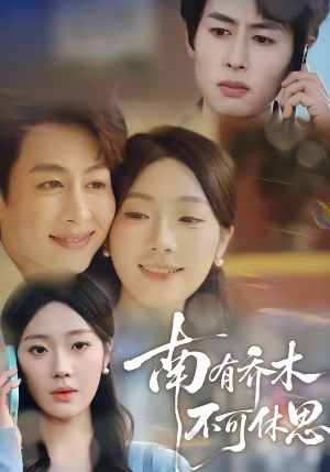 南有乔木，不可休思（68集）一起追生活短剧