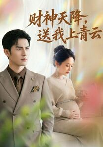财神天降，送我上青云（100集）短剧在哪里看