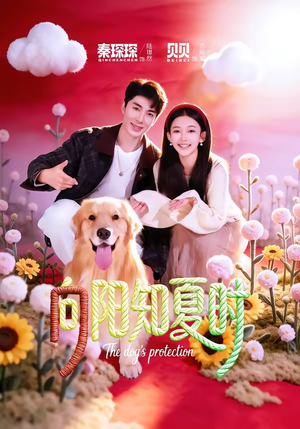 向阳知夏时（80集）西瓜短剧免费看