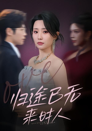 归途已无来时人（70集）短剧精彩不断