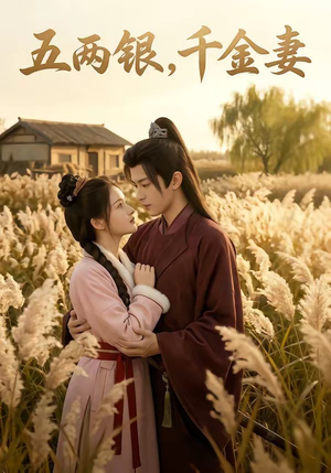五两银，千金妻（60集）解说文案