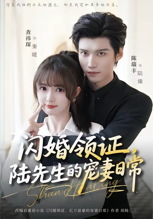闪婚领证，陆先生的宠妻日常（86集）集免费看短剧