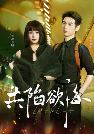 共陷欲海（66集）穿越短剧推荐