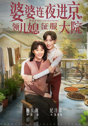 婆婆连夜进京，领儿媳征服大院（78集）免费看短剧全集