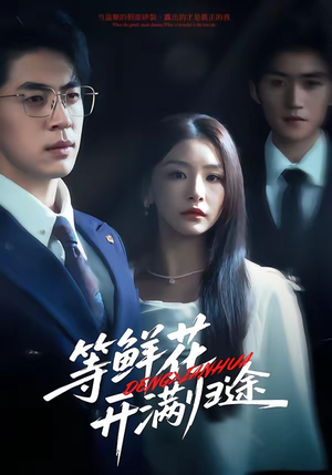 等鲜花开满归途（61集）观看软件