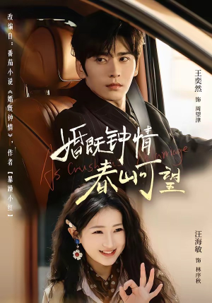 婚既钟情，春山可望＆热恋，从新婚开始（91集）网络小短剧