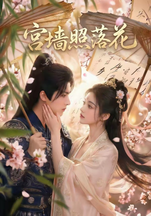 宫墙照落花（60集）全集完整版