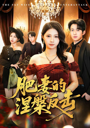 肥妻的涅槃反击（66集）短剧小说在线看