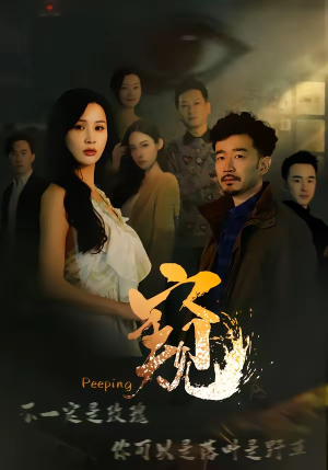 窥伺（37集）看到了大结局