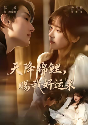 天降锦鲤，赐我好运来（60集）爆款短剧追不停