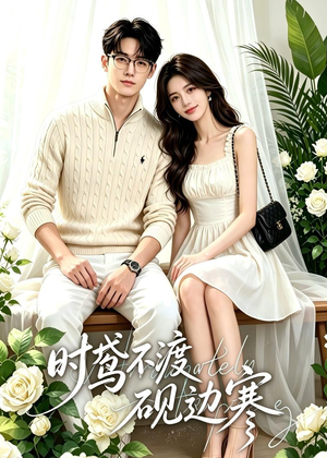 时鸢不渡砚边寒（41集）一起追生活短剧