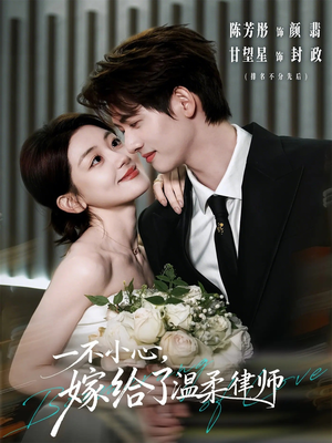 一不小心，嫁给了温柔律师（65集）爆火短剧追不停