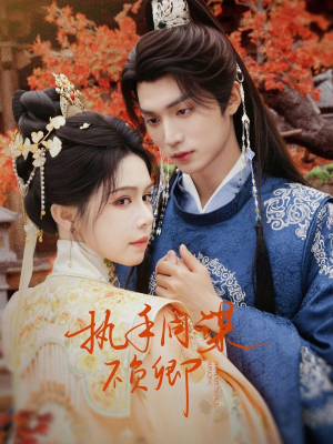 执手同谋不负卿（64集）一口气看完全集