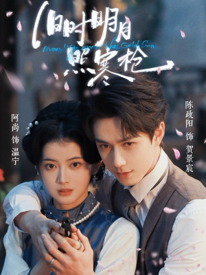 旧时明月照寒枪（62集）完整版