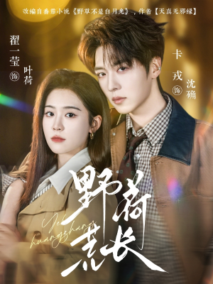 野荷荒长（86集）火爆短剧抢先看