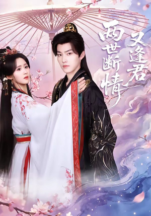 两世断情又逢君（71集）精彩短剧分享