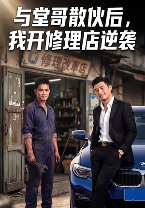 与堂哥散伙后，我开修理店逆袭（40集）百度网盘在线看