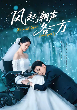 风起潮声各一方（84集）免费观看