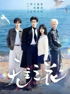 无主之花1（72集）网络小短剧