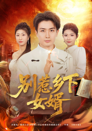 别惹乡下女婿（80集）追短剧太上头了