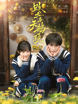 败犬与天鹅颈（71集）小短剧抢先看