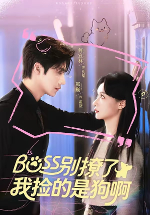 Boss别撩了，我捡的是狗呀（65集）免费看短剧