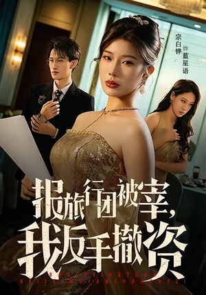 报旅行团被宰，我反手撤资（59集）精彩短剧下载