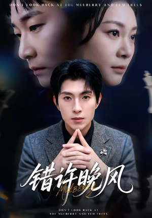 错许晚风（60集）集免费看短剧