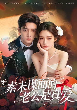 素未谋面的老公是真爱（75集）演员表