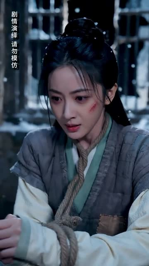 晚雪映寒山（57集）80到100集