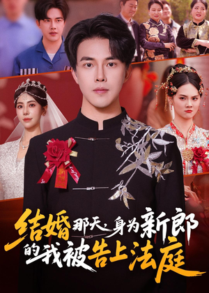 结婚那天，身为新郎的我被告上法庭（59集）口碑之选免费看