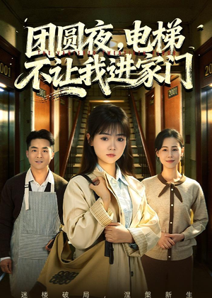 团圆夜,电梯不让我进家门(52集) 团圆夜,电梯不让我进家门(52集)短剧精彩推荐